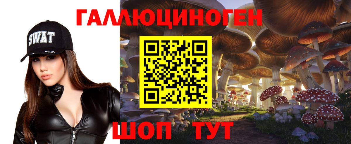 Галлюциногенные грибы GOLDEN TEACHER  Вход с VPN  Саров 